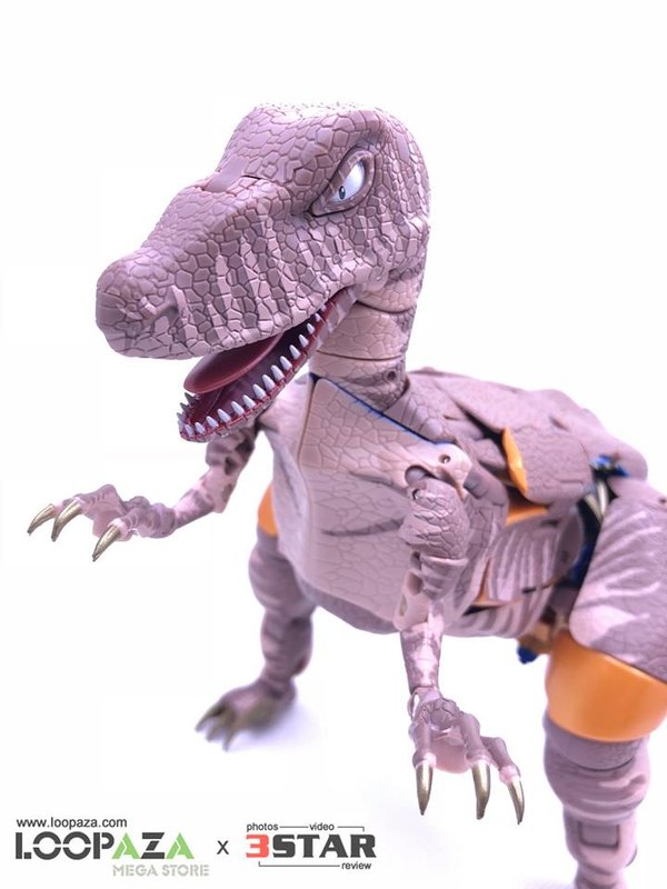 Masterpiece MP 41 Beast Wars Dinobot In Hand Photos   And Demo Videos 02 (2 of 19)